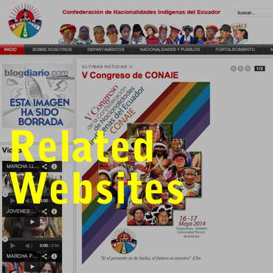 websites