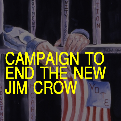 Hands in jail holding a flag