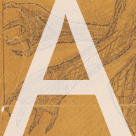 Letter "A" over artwork of monster claws, and link to Case 1 of Exhibit