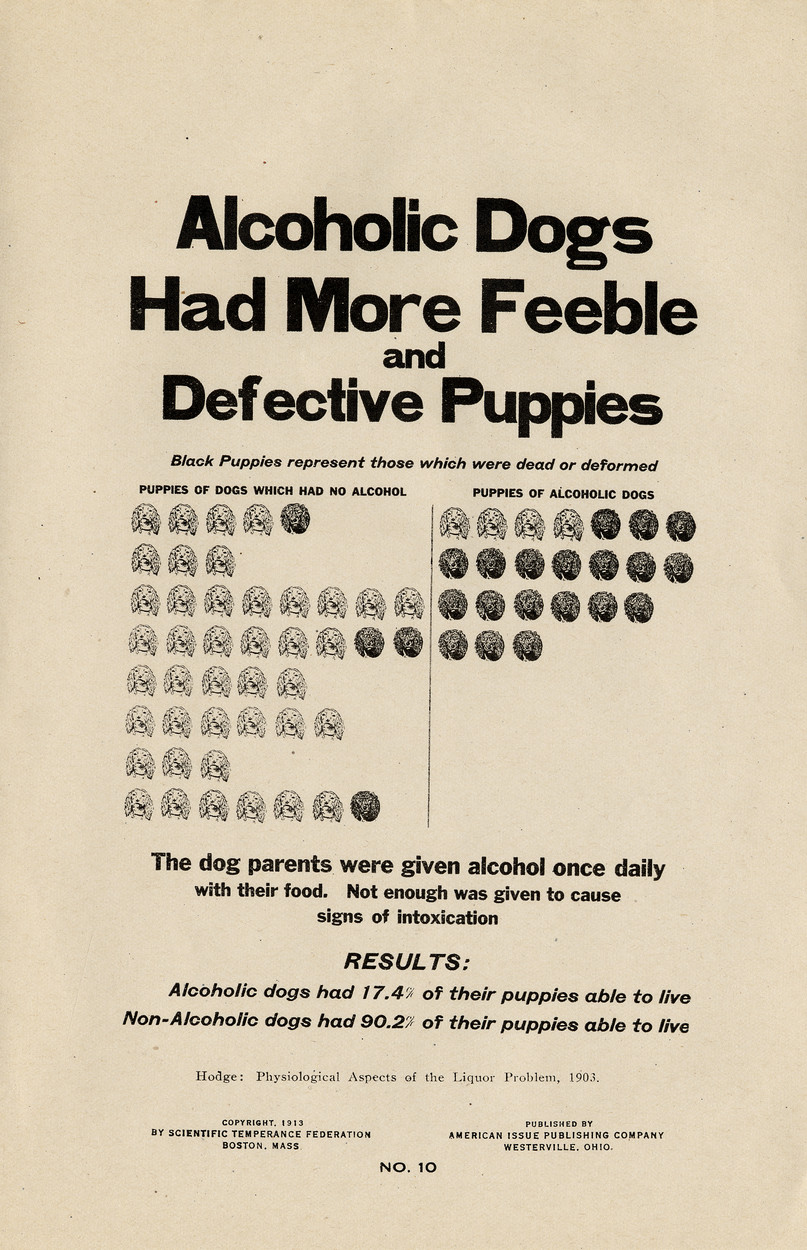 "Alcoholic Dogs..."