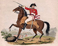 The Marquis of Wellington