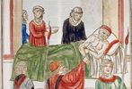 Detail from Joannes de Ketham. Fasciculus medicine, Venice, [28 March 1500].
