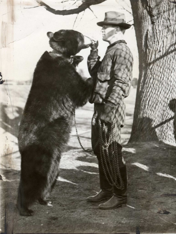 Bruno II