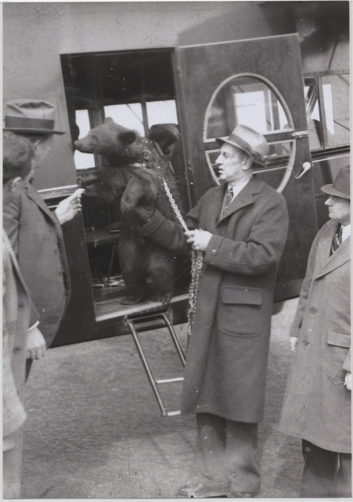 Bruno III arrives by plane