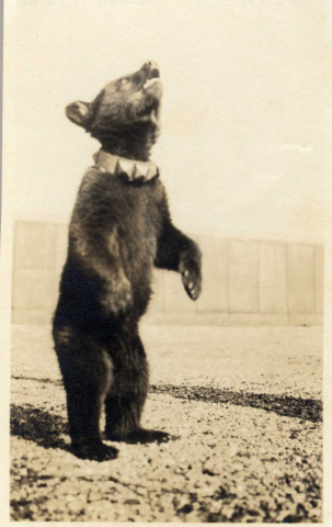 Mascot of the class of 1922