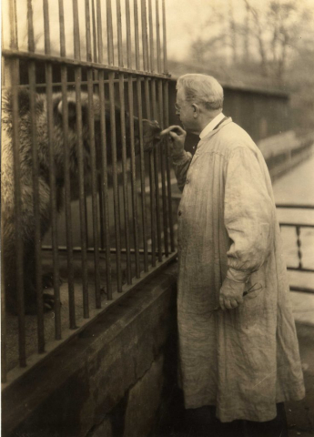 Eli Harvey