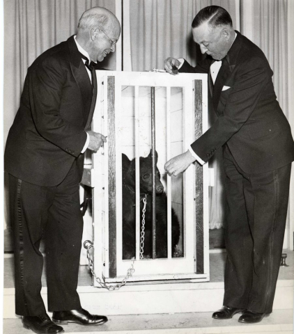 Governor of Maine Governor of Maine