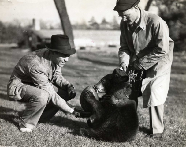 Owl and Ring Society Owl and Ring Society
