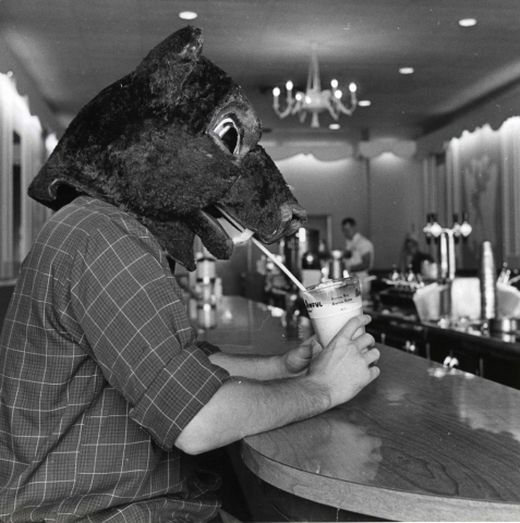 Costumed bear mascot