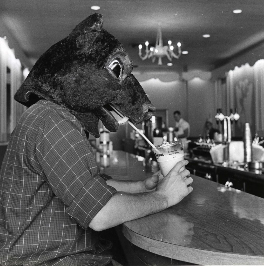 Costumed bear mascot