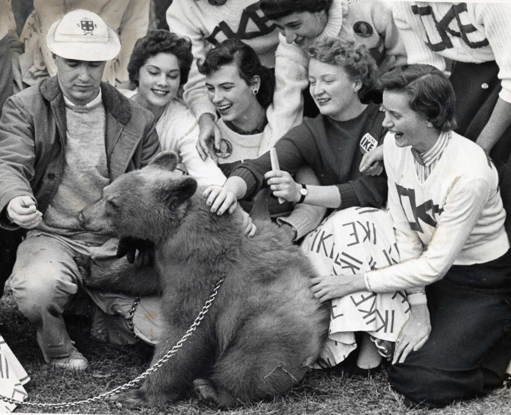 people are petting a small bear on chain