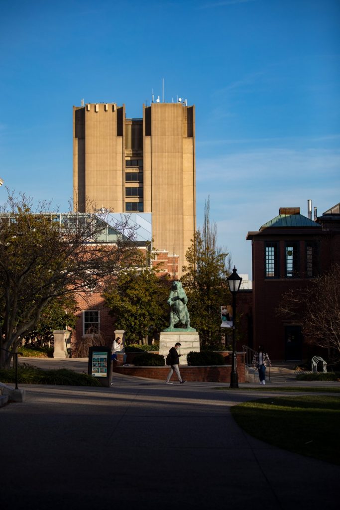 A student passes by the bear sculpture on the Main Green with the Sciences Library in the background Photos students on the Main Green and Faunce Arch in the late fall sunlight