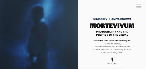 Mortevivum homepage with blurred image of a human figure