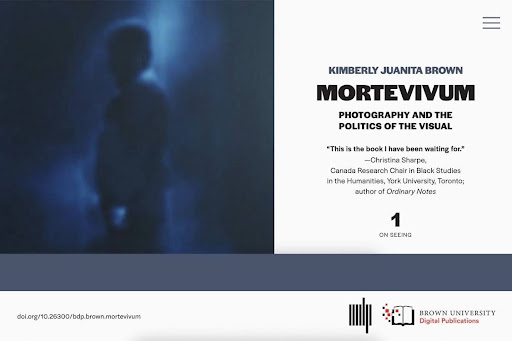 photo of standing figure in profile obscured by heavy blue filter and on the right the publication cover info