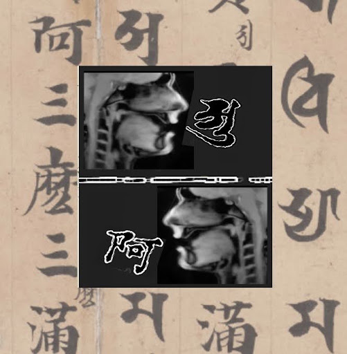 MRI footage of a speaking mouth and throat with Sanskrit alphabet and Chinese characters