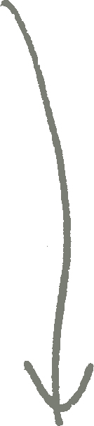 decorative directional arrow