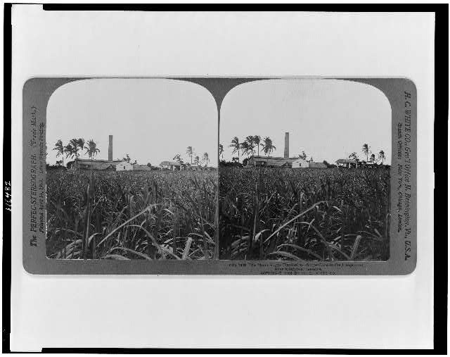 Elements of Caribbean History Modern Latin America