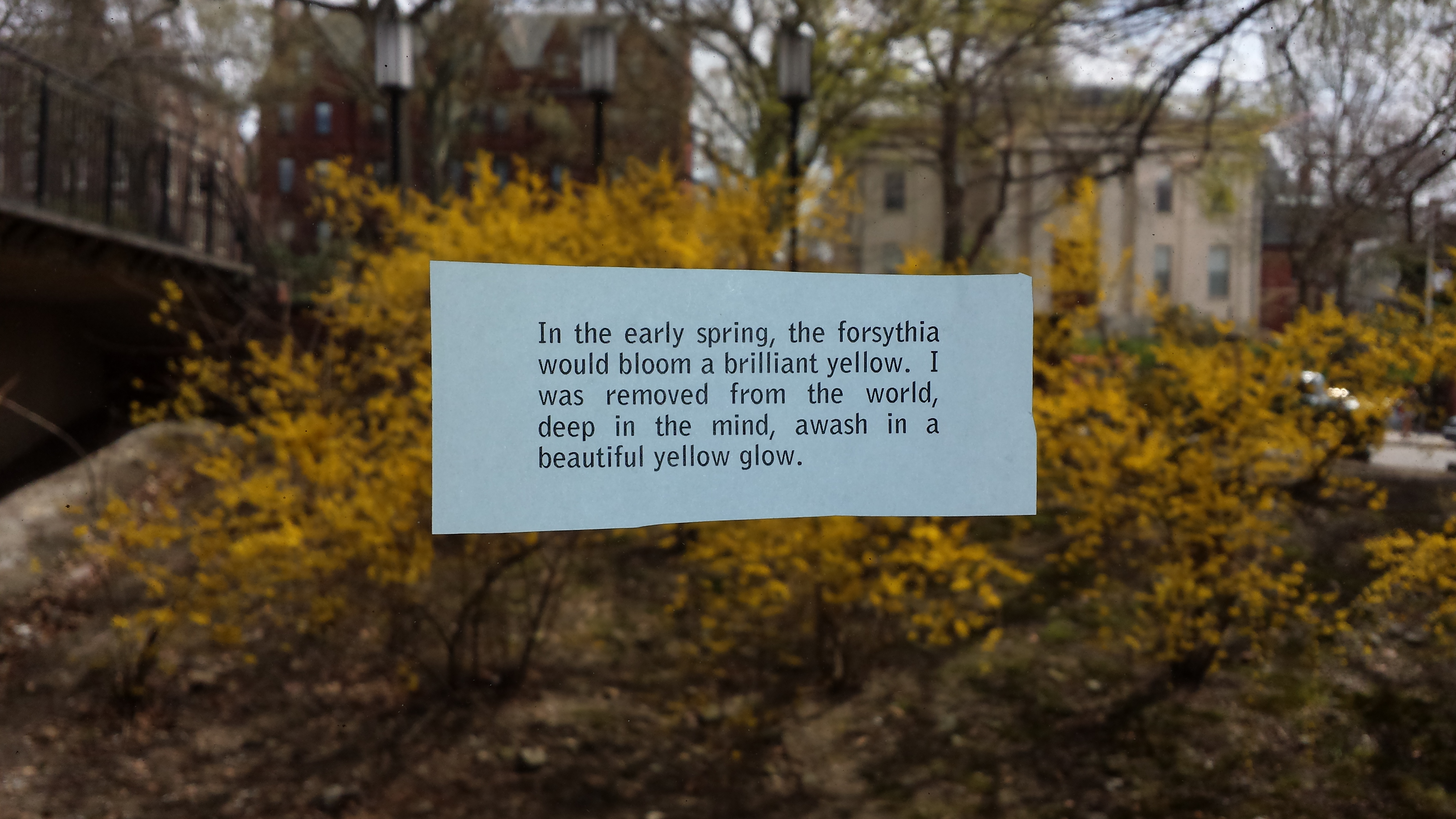20140425_114251