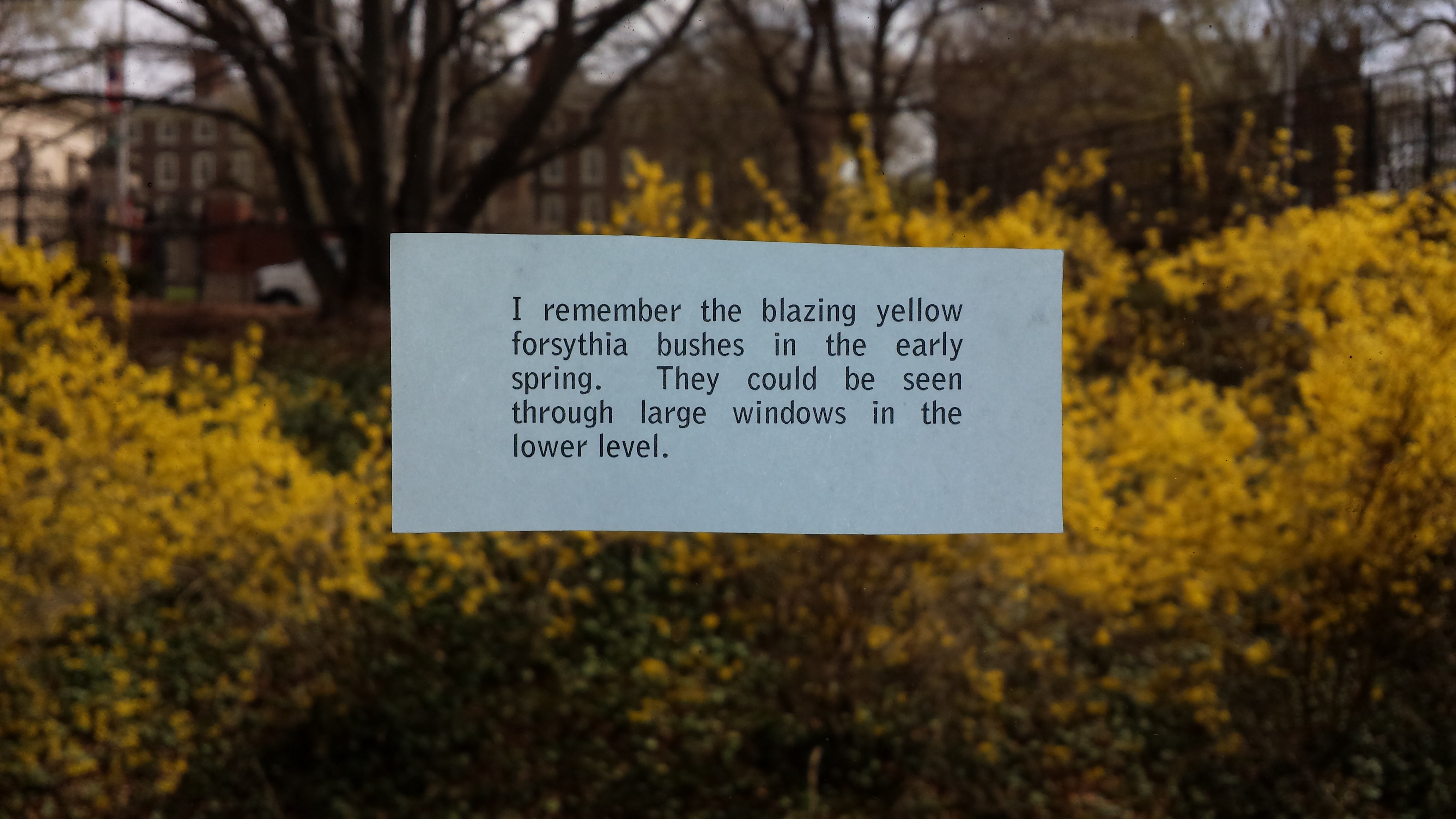 20140425_114433