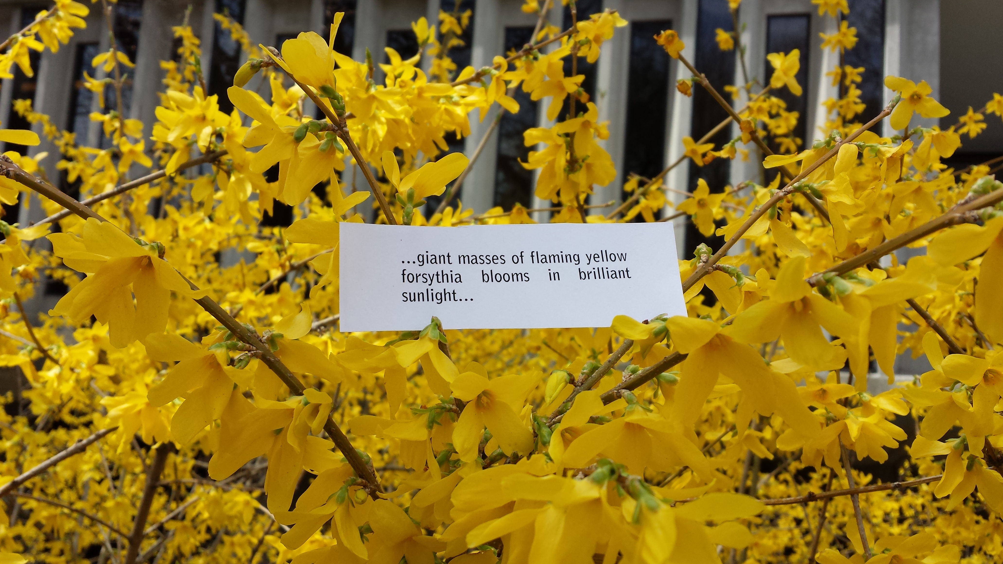 20140425_114807