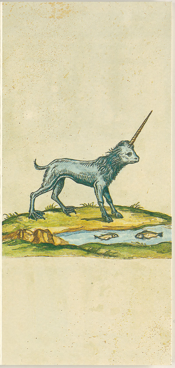 The Theater of Nature or Curiosity Filled the Cabinet