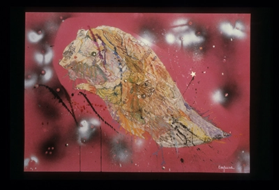 Diapositivas de L’occhio, il lupo, la luna nell’imbuto cosmico [El ojo, el lobo, la luna en el embudo cósmico]. Serie Fotoglifos.