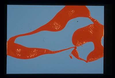 Diapositivas de L’occhio, il lupo, la luna nell’imbuto cosmico [El ojo, el lobo, la luna en el embudo cósmico]. Serie Fotoglifos.