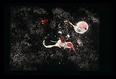 Diapositivas de L’occhio, il lupo, la luna nell’imbuto cosmico [El ojo, el lobo, la luna en el embudo cósmico]. Serie Fotoglifos.