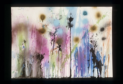 Diapositivas de L’occhio, il lupo, la luna nell’imbuto cosmico [El ojo, el lobo, la luna en el embudo cósmico]. Serie Fotoglifos.