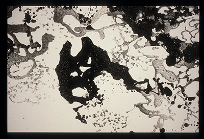 Diapositivas de L’occhio, il lupo, la luna nell’imbuto cosmico [El ojo, el lobo, la luna en el embudo cósmico]. Serie Fotoglifos.