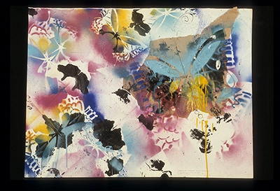 Diapositivas de L’occhio, il lupo, la luna nell’imbuto cosmico [El ojo, el lobo, la luna en el embudo cósmico]. Serie Fotoglifos.