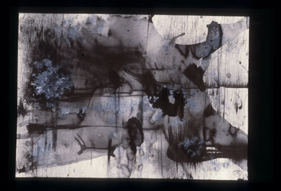 Diapositivas de L’occhio, il lupo, la luna nell’imbuto cosmico [El ojo, el lobo, la luna en el embudo cósmico]. Serie Fotoglifos.