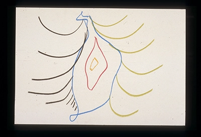 Slides from L’Occhio, Il Lupo, La Luna Nell’Imbuto Cosmico [The Eye, the Wolf, the Moon in the Cosmic Funnel]. Serie Fotoglifos [Photoglyphs Series]