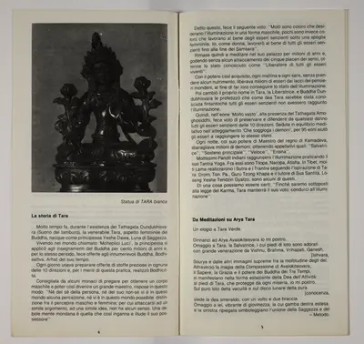 Viaggio in India e Nepal. Mandalas y poemas, Del block a quadretti [Journey in India and Nepal. Mandalas and Poems, From the Quadrille Notebook].