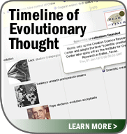 Timeline of Evolutionary Thought