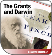 The Grants and Darwin